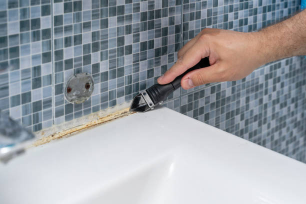 Best Office Mold Removal Services  in Fountain Inn, SC